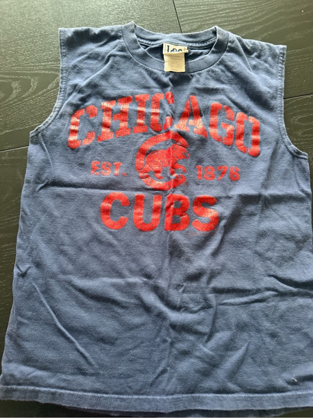 Vintage Lee Sport Chicago Cubs Graphic Logo Blue Red Crewneck Cotton T-Shirt